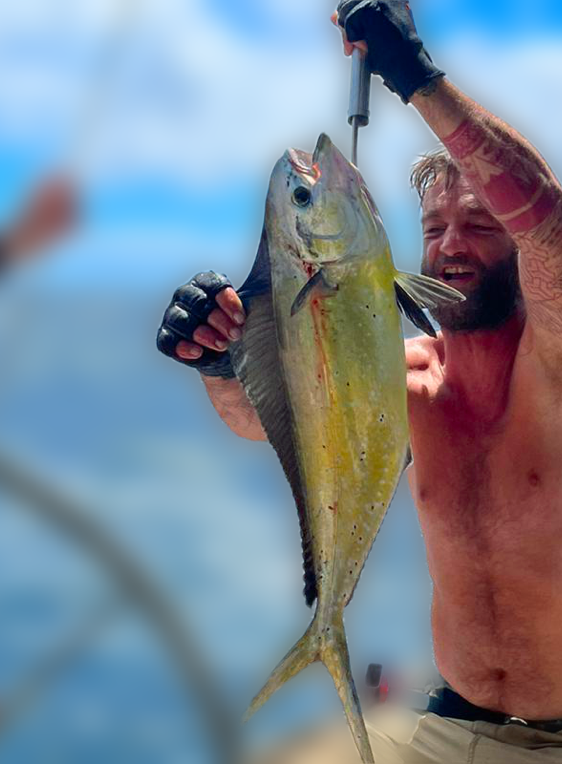 Segeln Fischen & Handpoke Tattoos auf Teneriffa